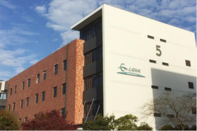生物新材料项目 生物基材料销售的市场机遇与实施路径