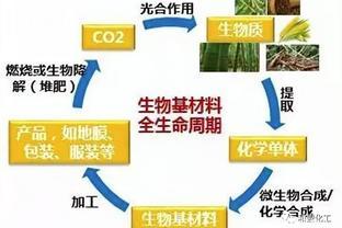 TDI与生物基材料市场动态解析 价格走势与销售趋势报告
