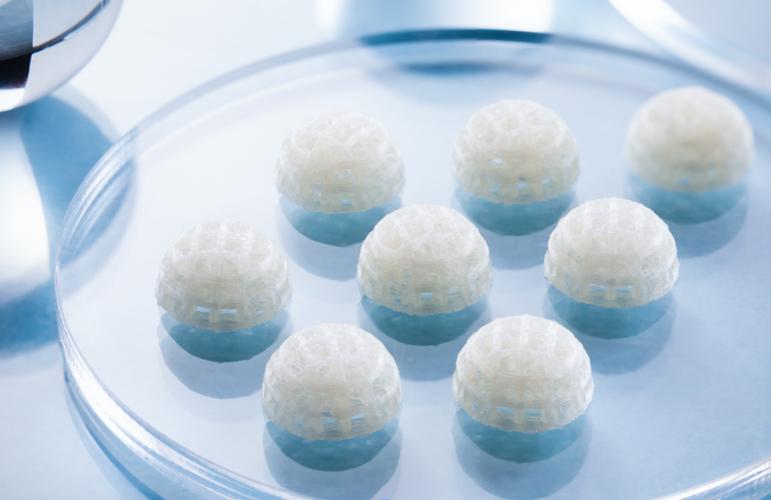 一文了解生物基降解材料与生物基材料销售